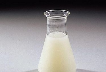 開門見山！您想要知道的關(guān)于食品乳化劑型號功效的一切都在這里了！
